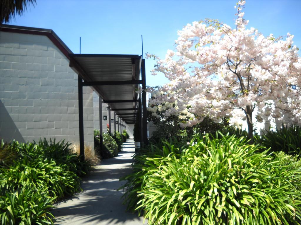 Gothic Heights Motel Christchurch Extérieur photo
